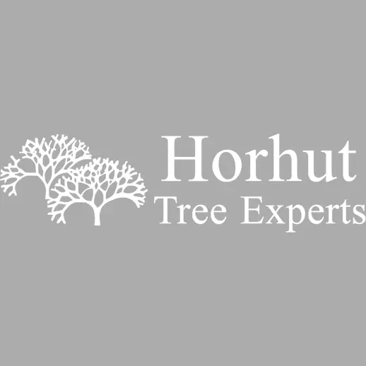 Horhut Tree Experts