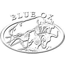 BLUE OX ENTERPRISES LLC