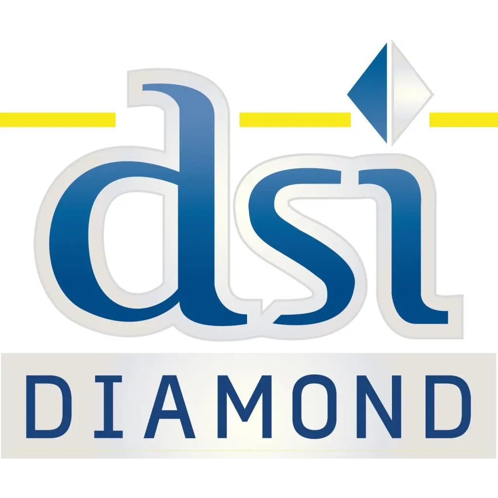 DIAMOND SECURITY INC
