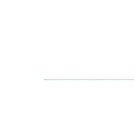 ELITE HURRICANE HOME PROTECTION LLC