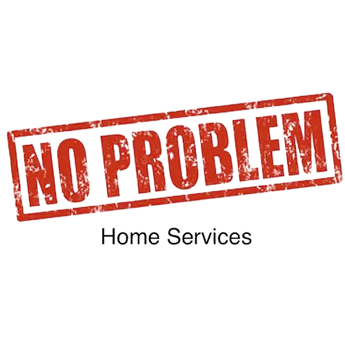 NO PROBLEM HOME SERVICES LLC