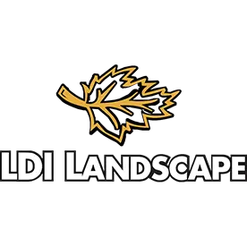 LDI Landscape