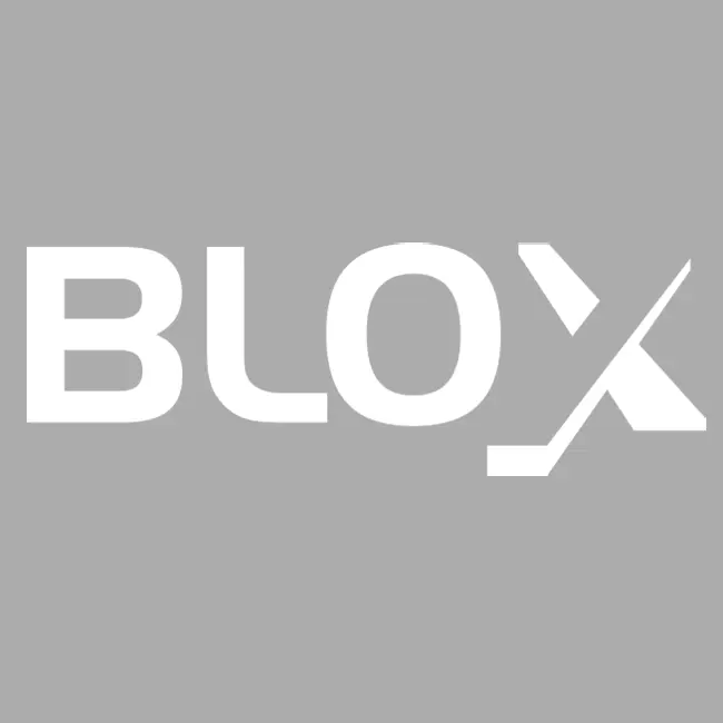 BLOX CONSTRUCTION INC