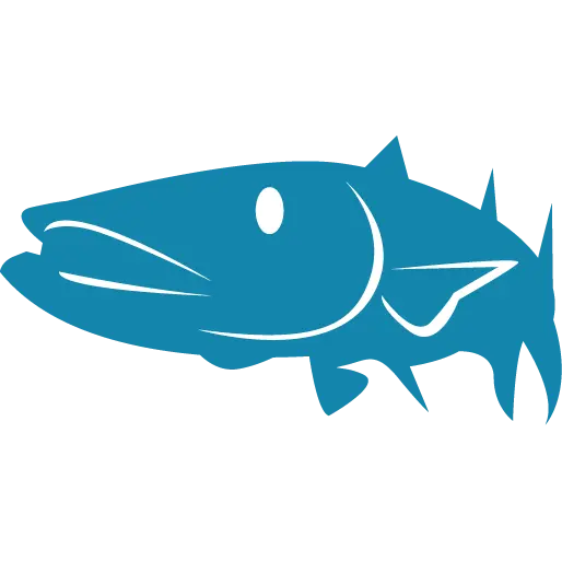 BARRACUDA BUILDERS OF KEY WEST INC.