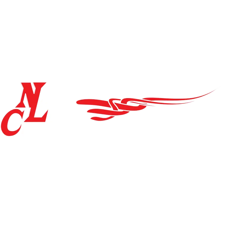 NEW LIFE CONTRACTING INC