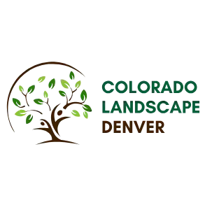 Colorado Landscape Denver