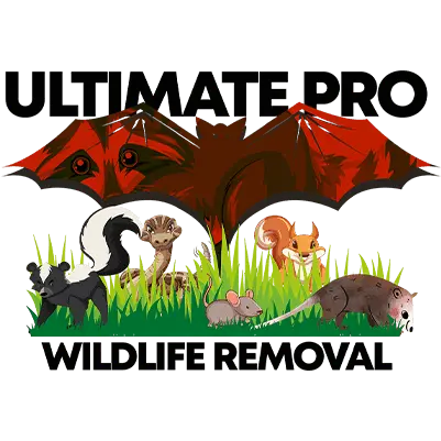 Ultimate Pro Wildlife Removal