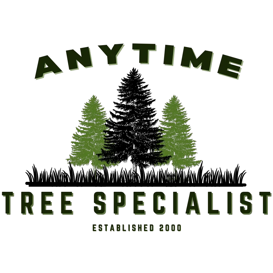 ANYTIME TREE SPECIALIST