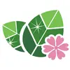 Primavera Cleaning Services LLC