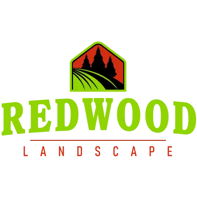 Redwood Landscape