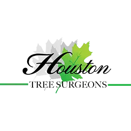Houston Tree Surgeons