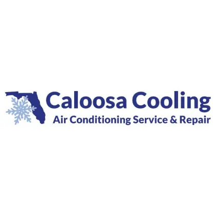 CALOOSA COOLING LEE COUNTY LLC