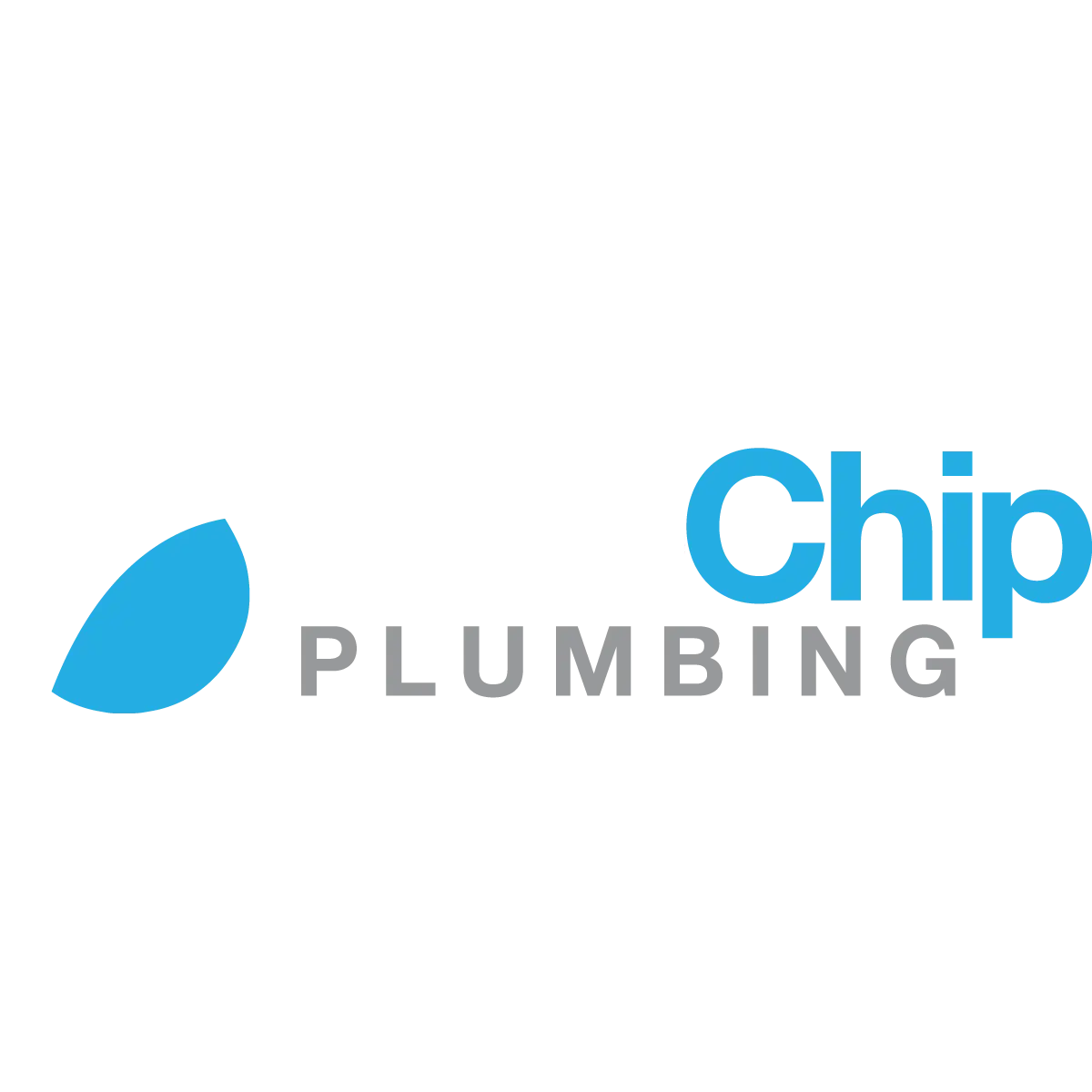 Blue Chip Plumbing
