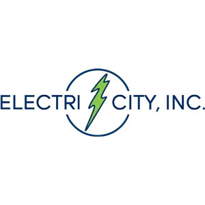 ELECTRI-CITY INC