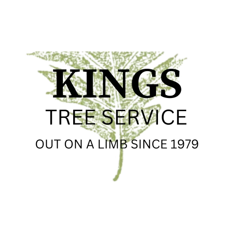 King's Tree Service