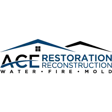 ACE RESTORATION INC