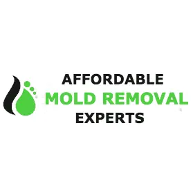 Affordable Mold Removal Experts