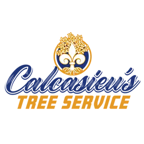 Calcasieu's Tree Service