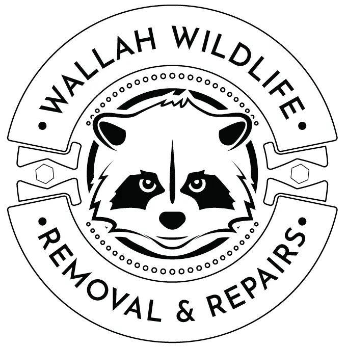 Wallah Wildlife LKN