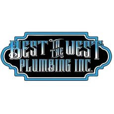 BEST IN THE WEST PLUMBING INC