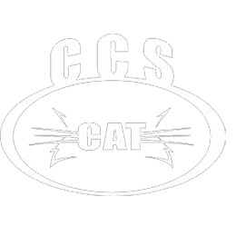 CCS CAT