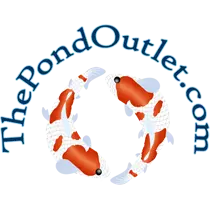 The Pond Outlet