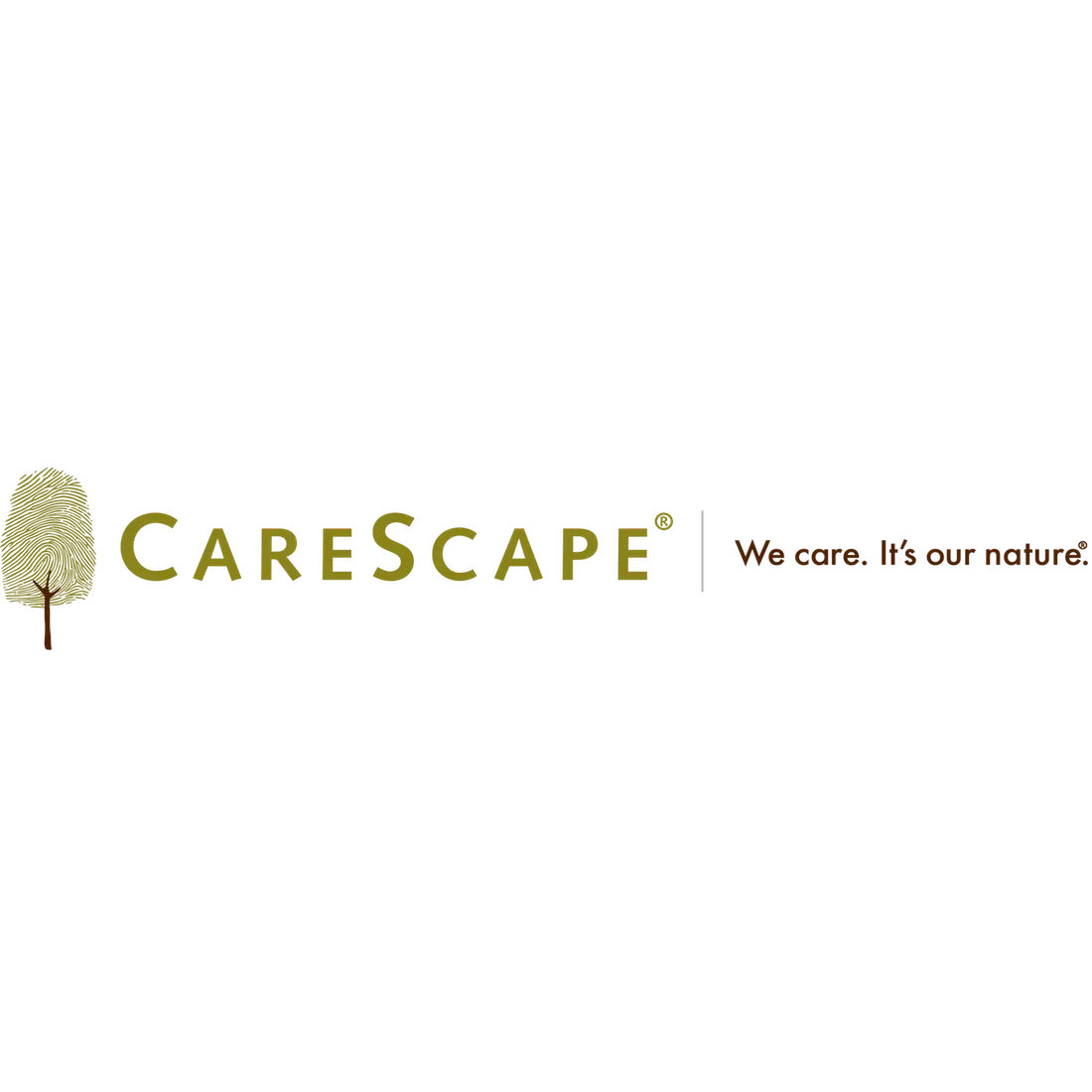 Carescape Construction LLC