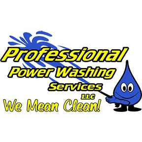 PROFESSIONAL POWER WASHING SERVICES LLC.