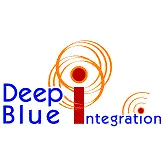 DEEP BLUE INTEGRATION INC