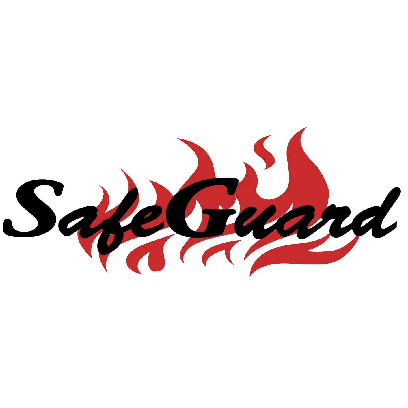 SAFEGUARD CORPORATION,
