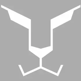 IRONCAT INC