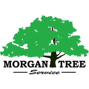 MORGAN TREE SERVICE
