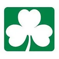 IRISH EXCAVATION