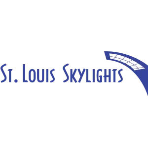 Windy City Skylights