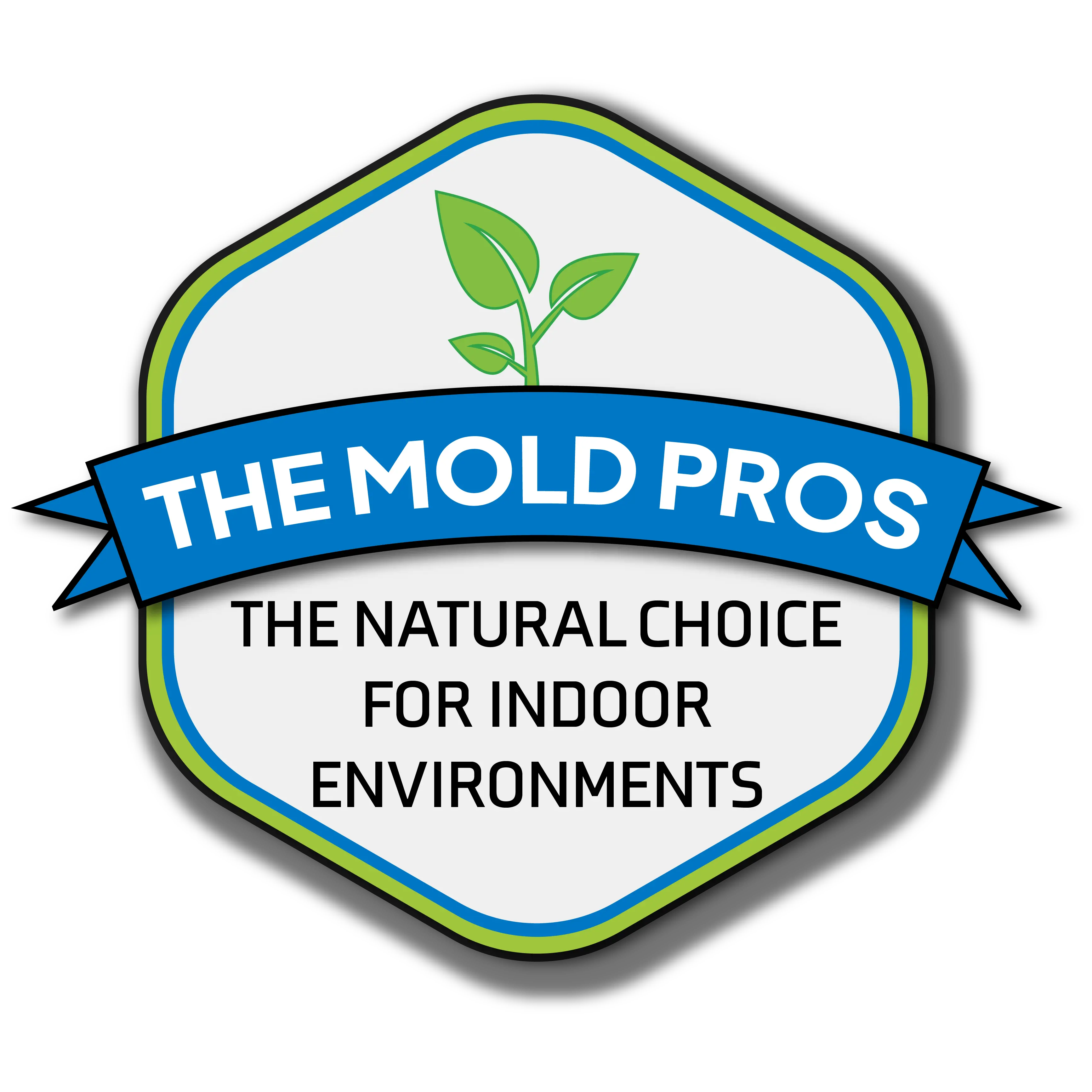 The Mold Pros