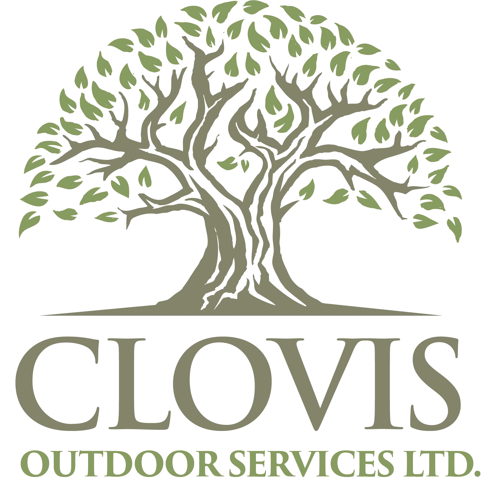 Clovis Outdoor Services