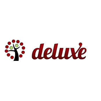 Deluxe Windows NJ