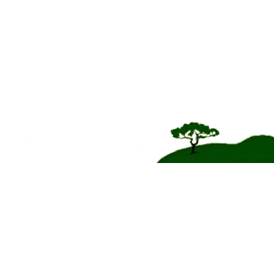 TREE TECH SERVICES