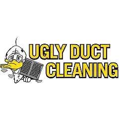 Ugly Duct Cleaning