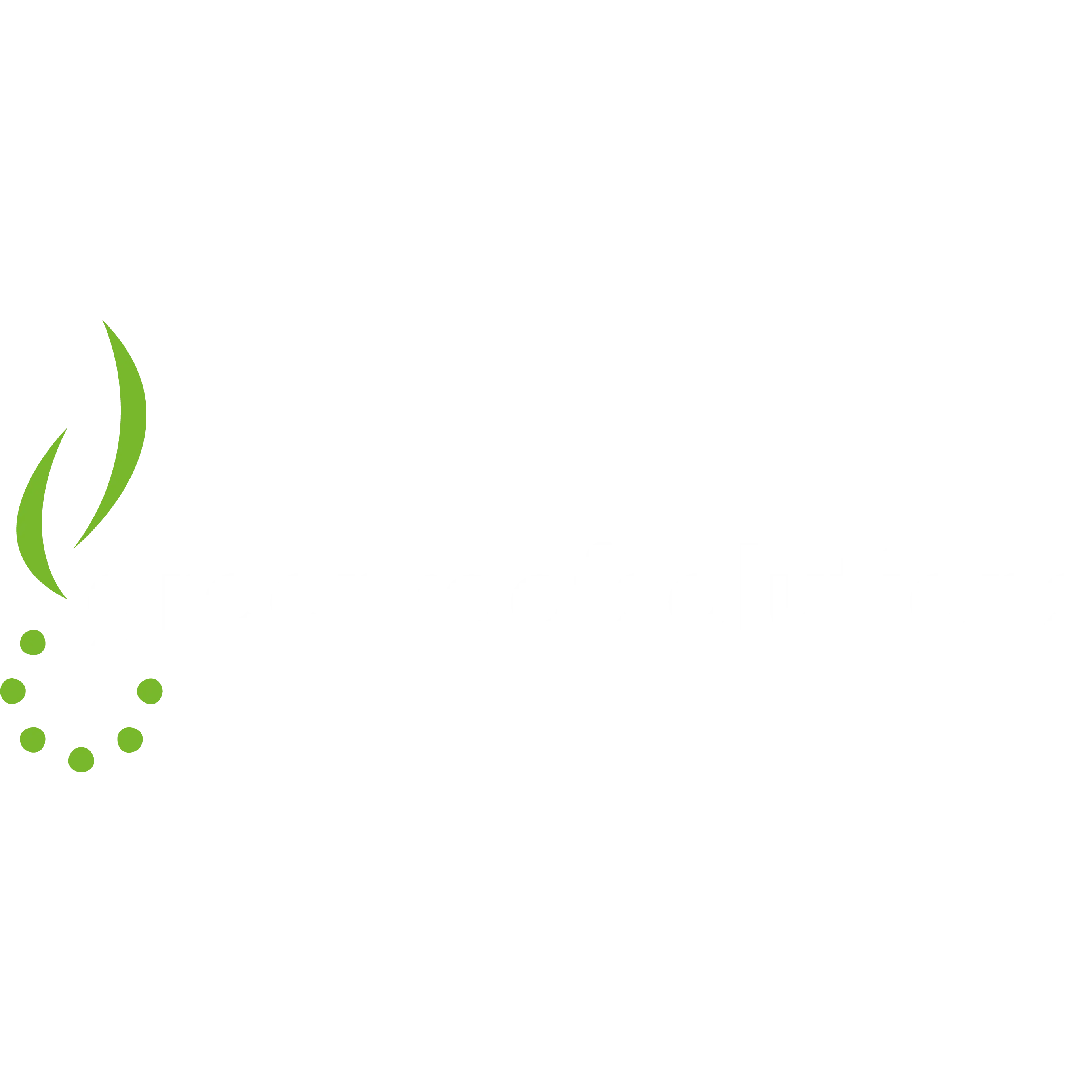 Green Roof Solutions