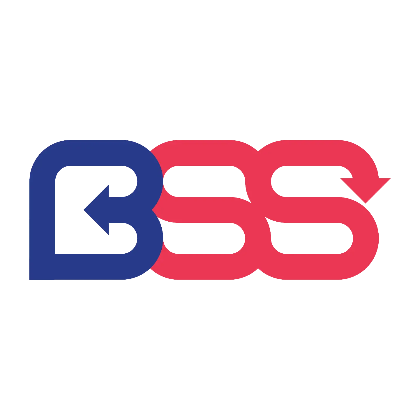 Broussard and Smith Services, LLC