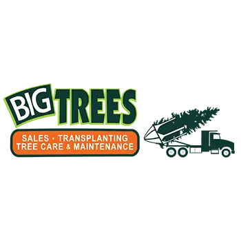 BIG TREES INC