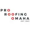 PROFESSIONAL ROOFING