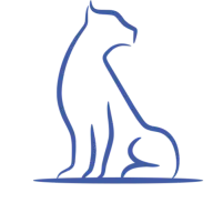 OCELOT ENTERPRISES LLC