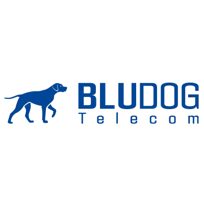 BLUDOG TELECOM INC