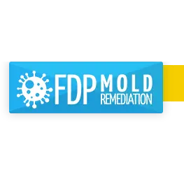 FDP Mold Remediation