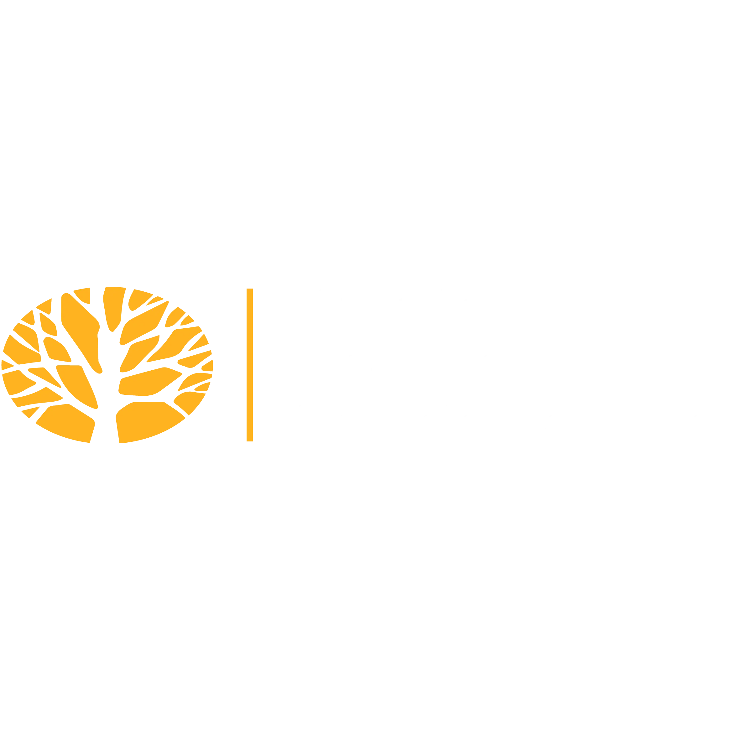 Western DuPage Landscaping Inc