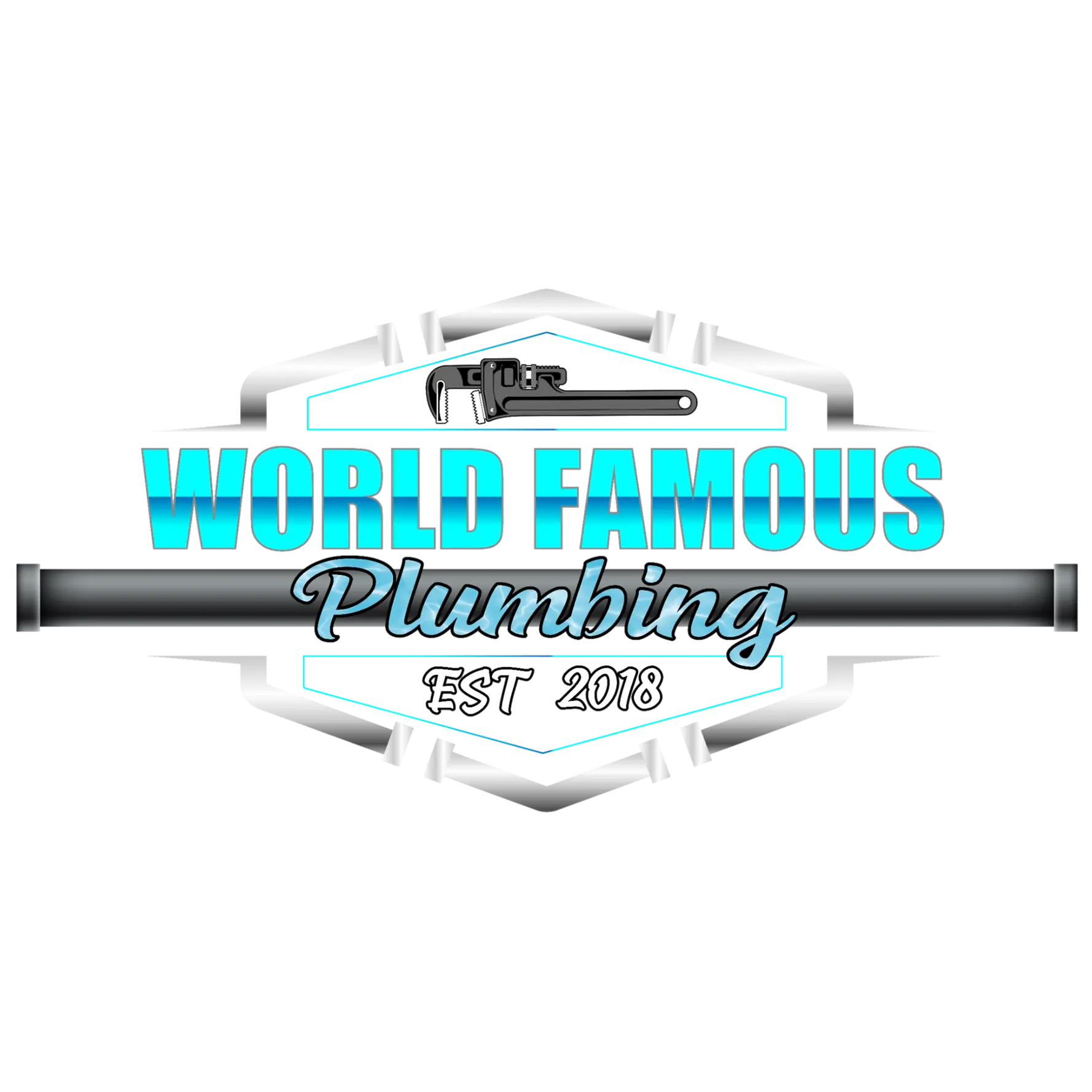 WORLD FAMOUS PLUMBING