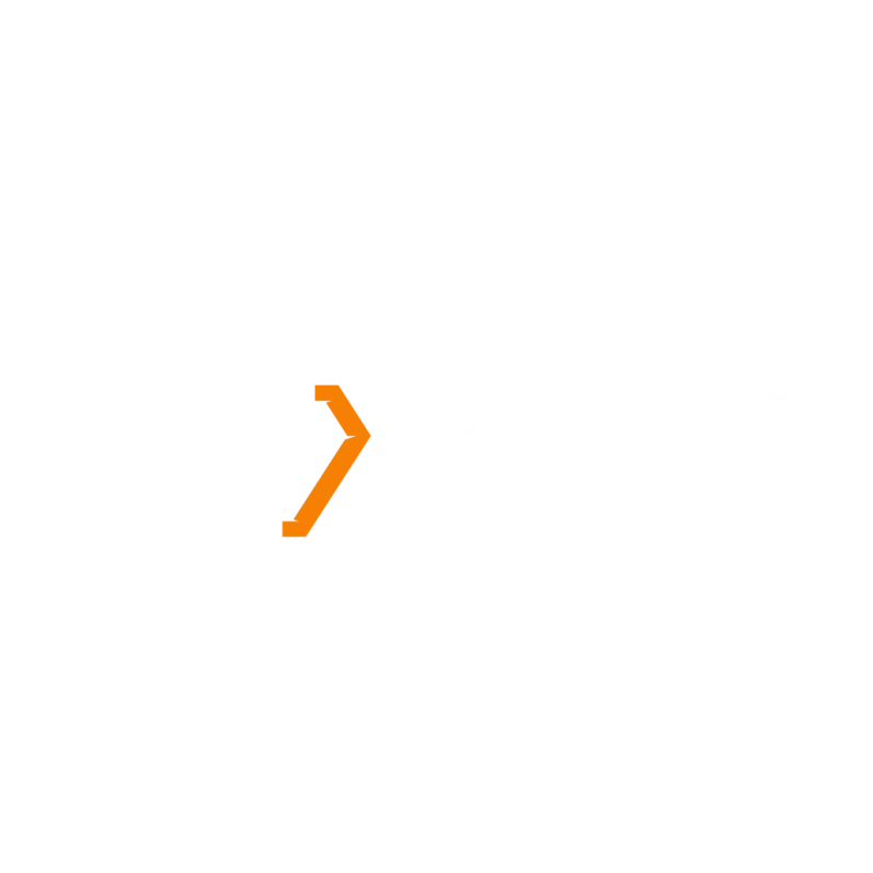NETXPERTS LLC