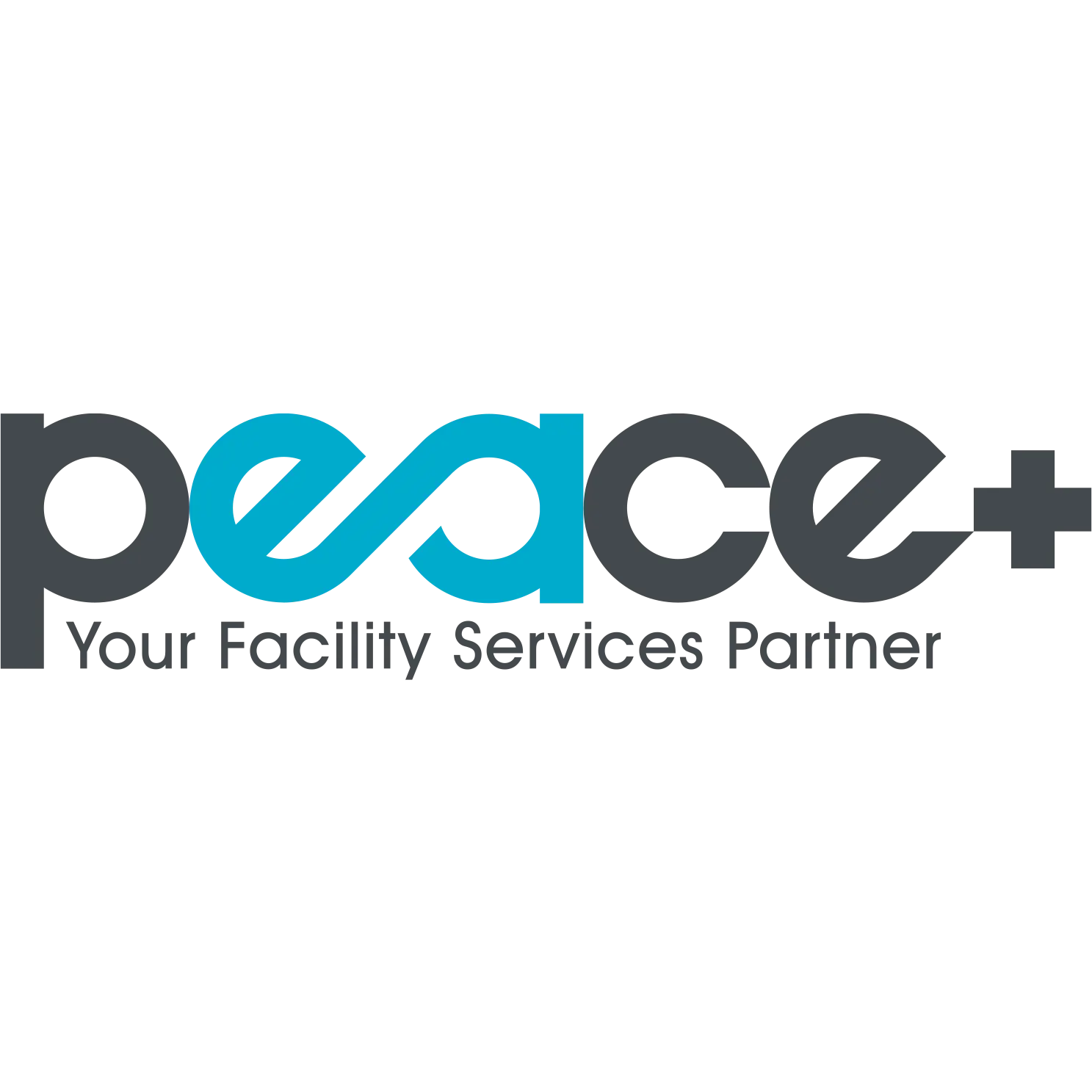 PEACE Plus Maintenance Corp.